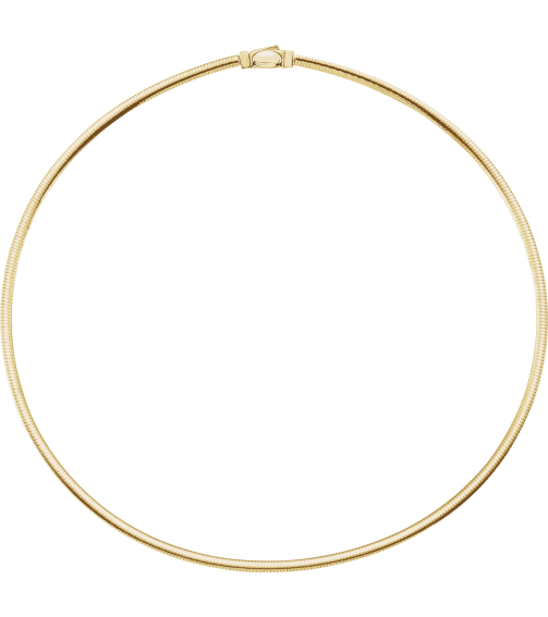 Ch748 14K YellowWhite Omega 3 Mm 18 In Bayonet Clasp Polished Reversible Omega Chain