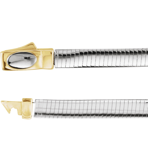 Ch748 14K YellowWhite Omega 4 Mm 18 In Bayonet Clasp Polished Reversible Omega Chain