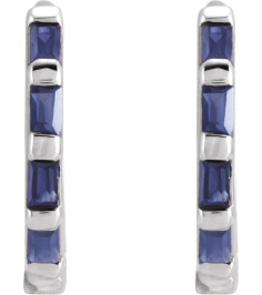 653650 Earring Set Natural Blue Sapphire Straight Baguette 1.9 X 1 Mm 14K White Pair Hinged Polished Natural Blue Sapphire Hinged Hoop Earrings