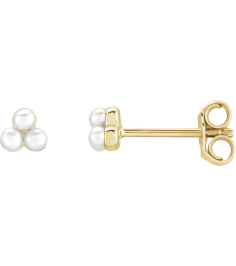 688827 Earring Set Cultured White Freshwater Pearl Pearl 2 Mm 14K Yellow Pair Friction Back Included Polished Freshwater Pearl Earrings