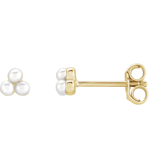 688827 Earring Set Cultured White Freshwater Pearl Pearl 2 Mm 14K Yellow Pair Friction Back Included Polished Freshwater Pearl Earrings
