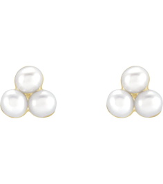 688827 Earring Set Cultured White Freshwater Pearl Pearl 2 Mm 14K Yellow Pair Friction Back Included Polished Freshwater Pearl Earrings
