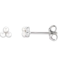 688827 Earring Set Cultured White Freshwater Pearl Pearl 2 Mm 14K White Pair Friction Back Included Polished Freshwater Pearl Earrings