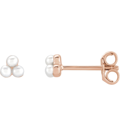 688827 Earring Set Cultured White Freshwater Pearl Pearl 2 Mm 14K Rose Pair Friction Back Included Polished Freshwater Pearl Earrings