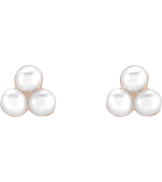 688827 Earring Set Cultured White Freshwater Pearl Pearl 2 Mm 14K Rose Pair Friction Back Included Polished Freshwater Pearl Earrings