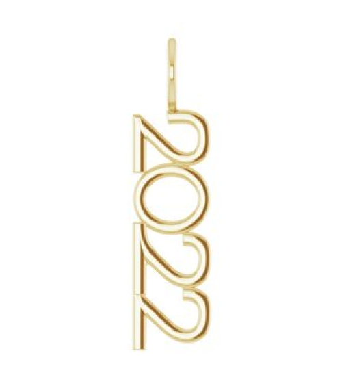 87773 Pendant 14K Yellow 2022 31.42 X 4.28 Mm Polished 