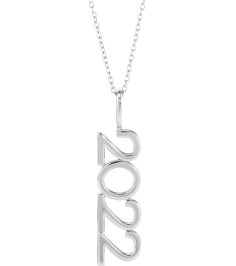 87773 Necklace Platinum 2022 27.57 X 7.97 Mm 16-18 In Polished 