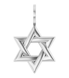 88329 Pendant Platinum 25.6 X 15.7 Mm Polished Star Of David Pendant