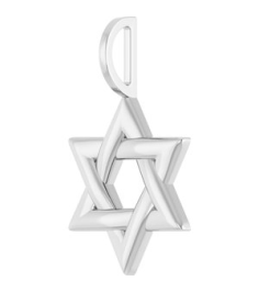 88329 Pendant Platinum 25.6 X 15.7 Mm Polished Star Of David Pendant