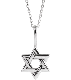 88329 Necklace 14K White 25.6 X 15.7 Mm 16-18 In Polished Star Of David Necklace