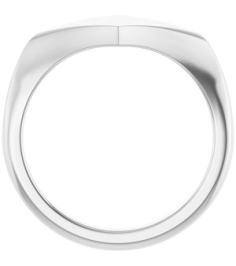 57799 14K White Geometric 7.6 X 15.5 Mm Brush Polished Geometric Signet Ring