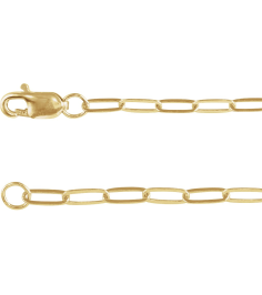Ch1099 10K Yellow Paperclip-Style 2.1 Mm 7 In Lobster Clasp Polished Paperclip-Style Chain