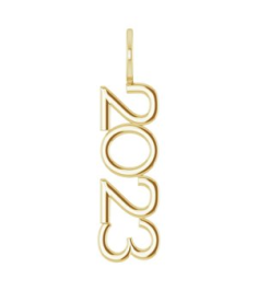 87773 Pendant 14K Yellow 2023 31.11 X 8.4 Mm Polished 