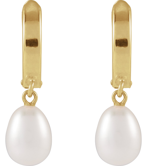 689024 Earring Set 14K Yellow Cultured White Freshwater Pearl Pearl 5.5-6.0 Mm None Polished Cultured Freshwater Pearl Huggie Earrings