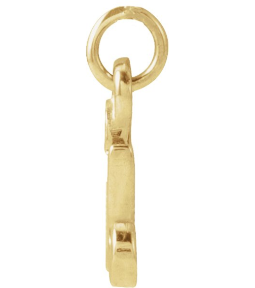 88516 Pendant 14K Yellow Initial R 7.9 X 6.45 Mm Polished Petite Initial Pendant