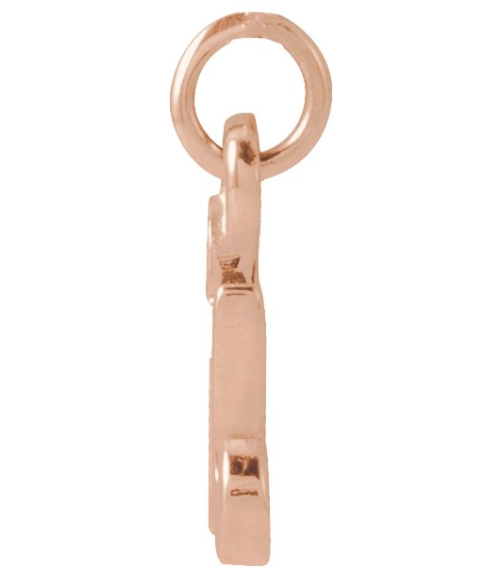 88516 Pendant 14K Rose Initial R 7.9 X 6.45 Mm Polished Petite Initial Pendant
