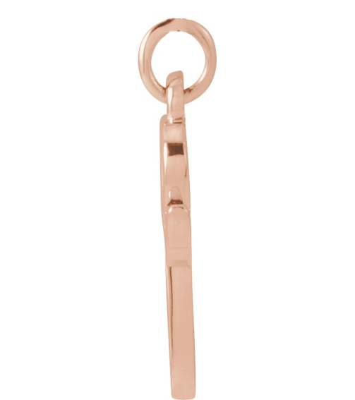 88516 Pendant 14K Rose Initial P 11.5 X 6.75 Mm Polished Petite Initial Pendant