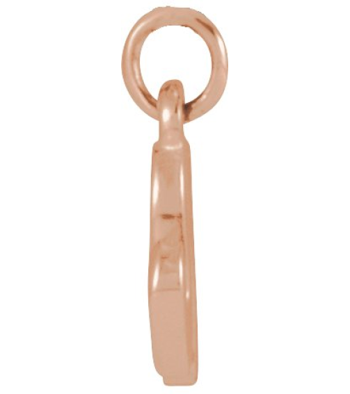 88516 Pendant 14K Rose Initial N 7.75 X 6.95 Mm Polished Petite Initial Pendant