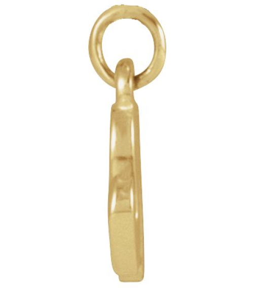 88516 Pendant 14K Yellow Initial N 7.75 X 6.95 Mm Polished Petite Initial Pendant