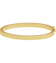 Brc940 14K Yellow 5 Mm 7 In Polished Tube Hinged Bangle Bracelet