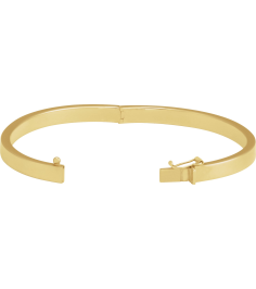 Brc940 14K Yellow 5 Mm 7 In Polished Tube Hinged Bangle Bracelet
