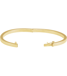 Brc940 14K Yellow 4 Mm 7 In Polished Tube Hinged Bangle Bracelet