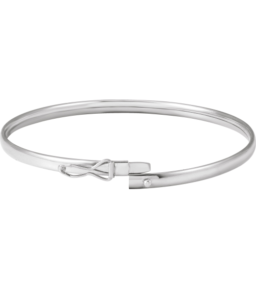 Brc954 14K White 2.85 Mm 6 45 In Polished Endless Bangle