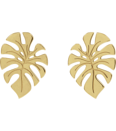88669 Earring 14K Yellow 18 X 13 Mm Pair Friction Backs Included Polished Monstera Leaf Stud Earrings