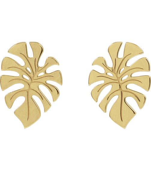 88669 Earring 14K Yellow 18 X 13 Mm Pair Friction Backs Included Polished Monstera Leaf Stud Earrings