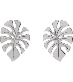 88669 Earring Sterling Silver 18 X 13 Mm Pair Friction Backs Included Polished Monstera Leaf Stud Earrings