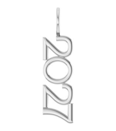 87773 Pendant Platinum 2027 30 X 8 Mm Polished 2027 Vertical Pendant