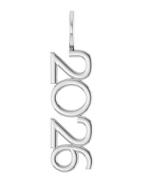 87773 Pendant Platinum 2026 30 X 8 Mm Polished 2026 Vertical Pendant
