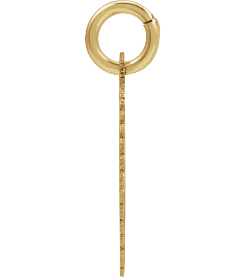689251 Pendant 14K Yellow Gold-Plated Sterling Silver Initial F 15 X 17 Mm Polished Sunburst Initial Pendant