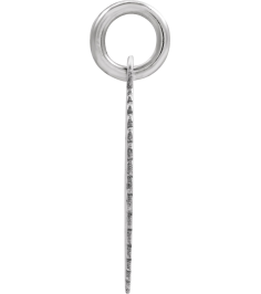 689251 Pendant 14K White Initial N 15 X 17 Mm Polished Sunburst Initial Pendant
