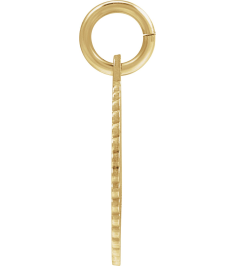 689251 Pendant 14K Yellow Gold-Plated Sterling Silver Initial Z 15 X 17 Mm Polished Sunburst Initial Pendant