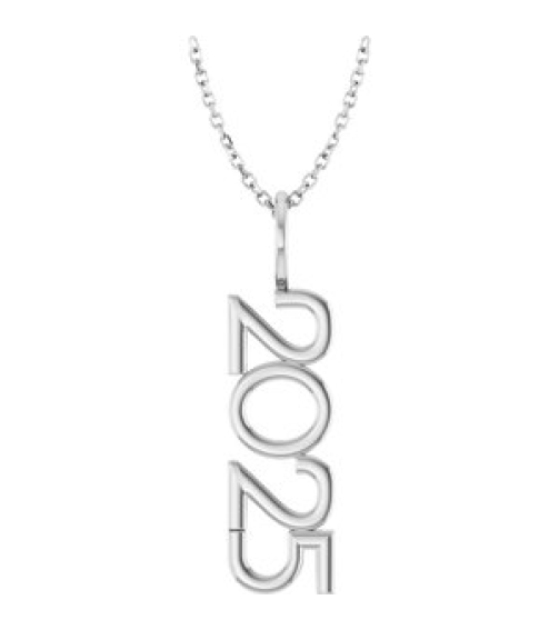 87773 Necklace 14K White 2025 29.8 X 8 Mm 16-18 In Polished 2025 Necklace