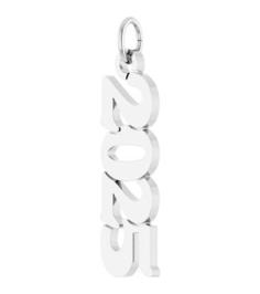 88746 Pendant 14K White 2025 19.1 X 5.4 Mm Polished Petite Year Pendant