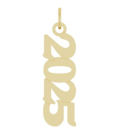 88746 Pendant 14K Yellow 2025 19.1 X 5.4 Mm Polished Petite Year Pendant
