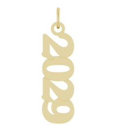 88746 Pendant 14K Yellow 2029 19 X 5.4 Mm Polished Petite Year Pendant