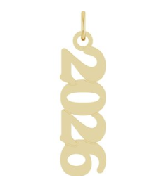 88746 Pendant 14K Yellow 2026 19.1 X 5.4 Mm Polished Petite Year Pendant