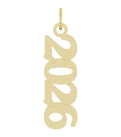 88746 Pendant 14K Yellow 2026 19.1 X 5.4 Mm Polished Petite Year Pendant