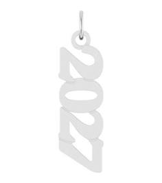 88746 Pendant 14K White 2027 19.1 X 5.4 Mm Polished Petite Year Pendant