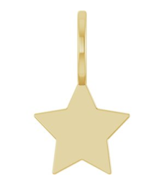 88762 Pendant 14K Yellow 17.4 X 10.2 Mm Polished Engravable Star Pendant