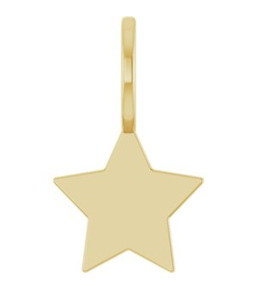 88762 Pendant 14K Yellow 17.4 X 10.2 Mm Polished Engravable Star Pendant