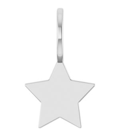 88762 Pendant Sterling Silver 17.4 X 10.2 Mm Polished Engravable Star Pendant