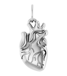 88771 Pendant Sterling Silver 15.7 X 6.9 Mm Polished Anatomical Heart Pendant