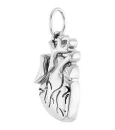88771 Pendant Sterling Silver 15.7 X 6.9 Mm Polished Anatomical Heart Pendant