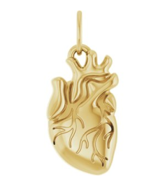 88771 Pendant 14K Yellow 15.7 X 6.9 Mm Polished Anatomical Heart Pendant