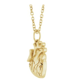 88771 Necklace 14K Yellow 15.7 X 6.9 Mm 16-18 In Polished Anatomical Heart Necklace