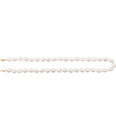 689339 Necklace Set 14K Yellow Pearl Cultured Freshwater Pearl 18 In Polished Cultured White Freshwater Pearl Necklace